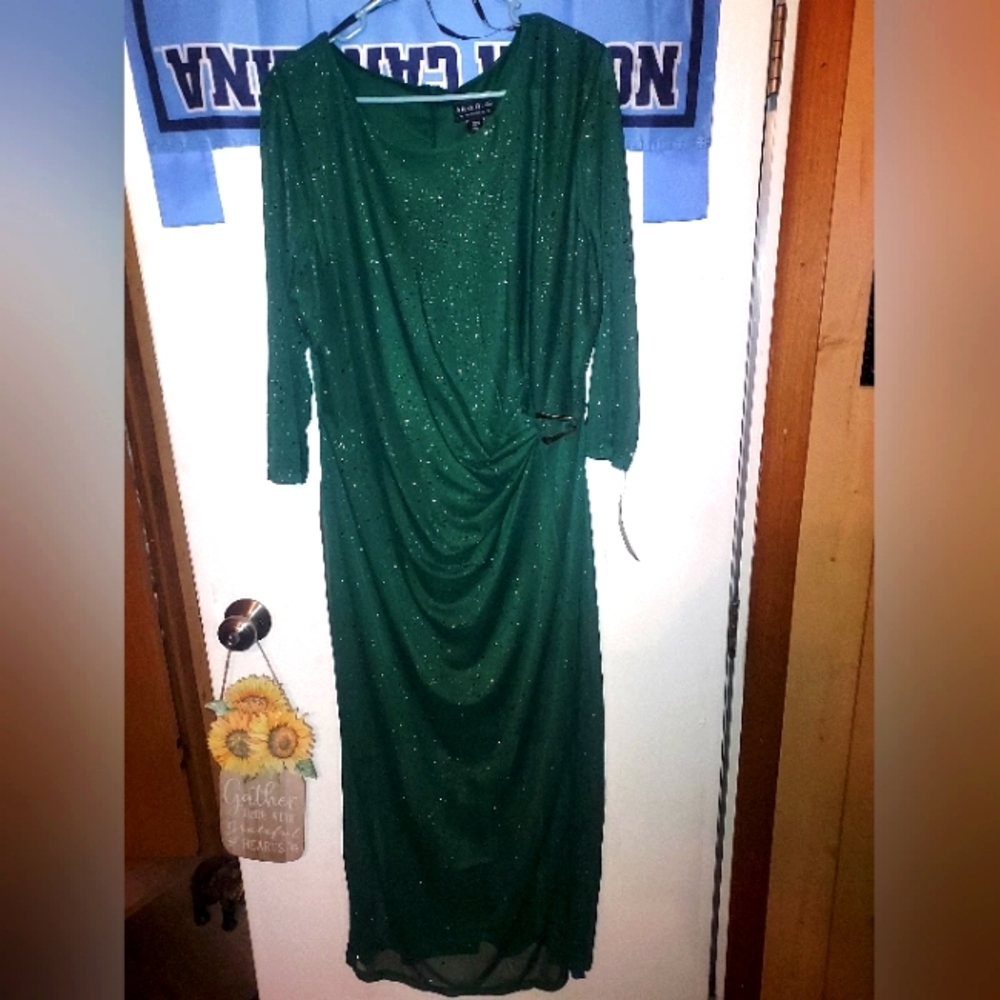 Beautiful Shimmery Plus Size Dress